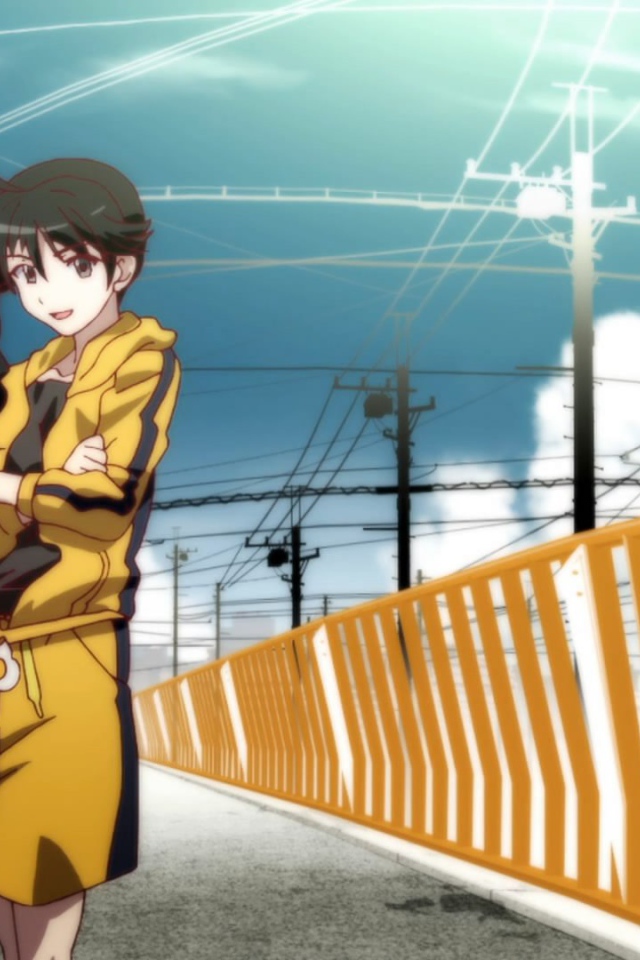 Истории подделок