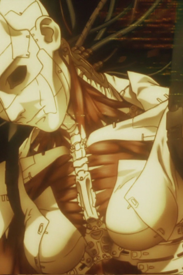 Аниматрица