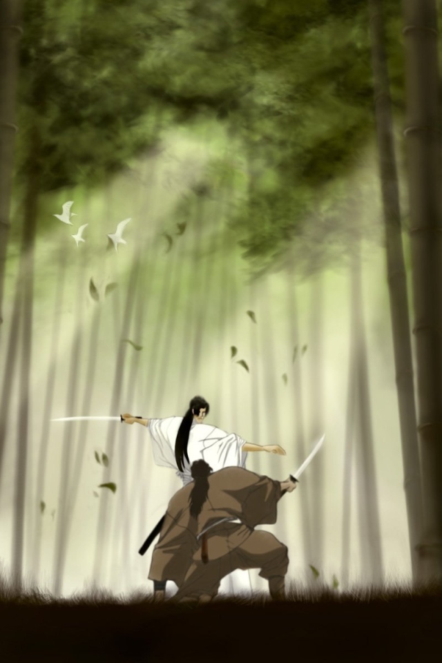 Манускрипт ниндзя