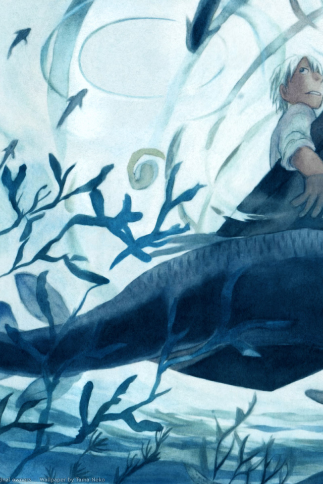 Мастер Муси