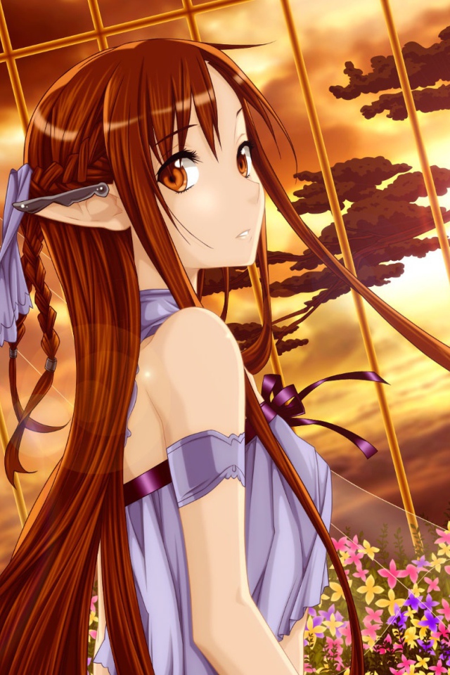 Молчаливая Морита