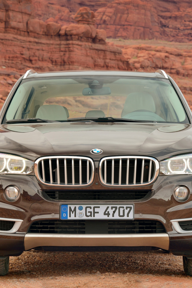 Коричневый BMW X4 кроссовер