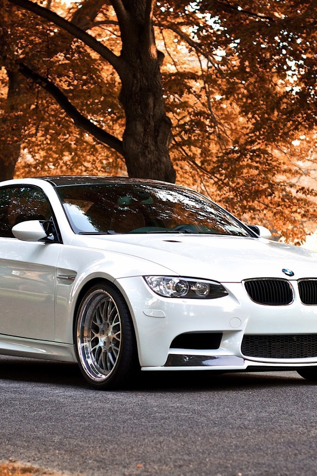 Белый BMW В осеннем парке