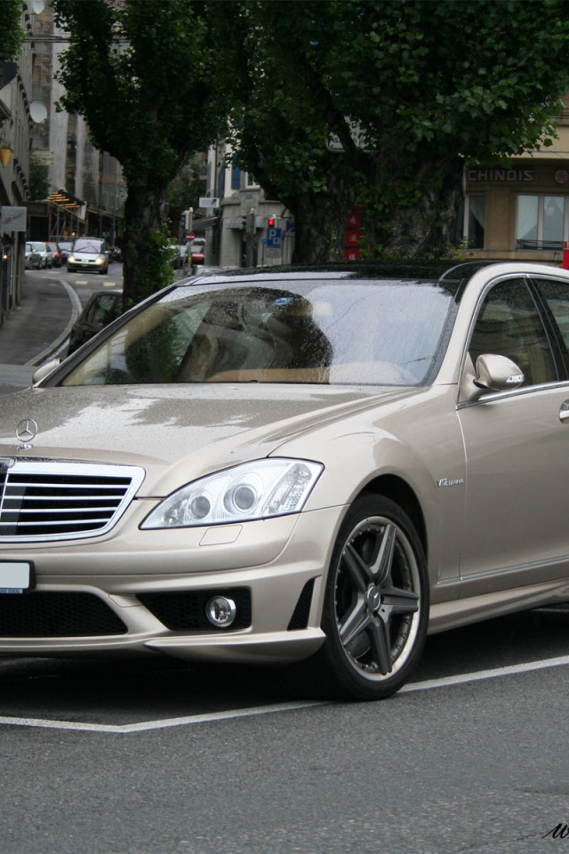  Светло-коричневый Mercedes-Benz S65 AMG
