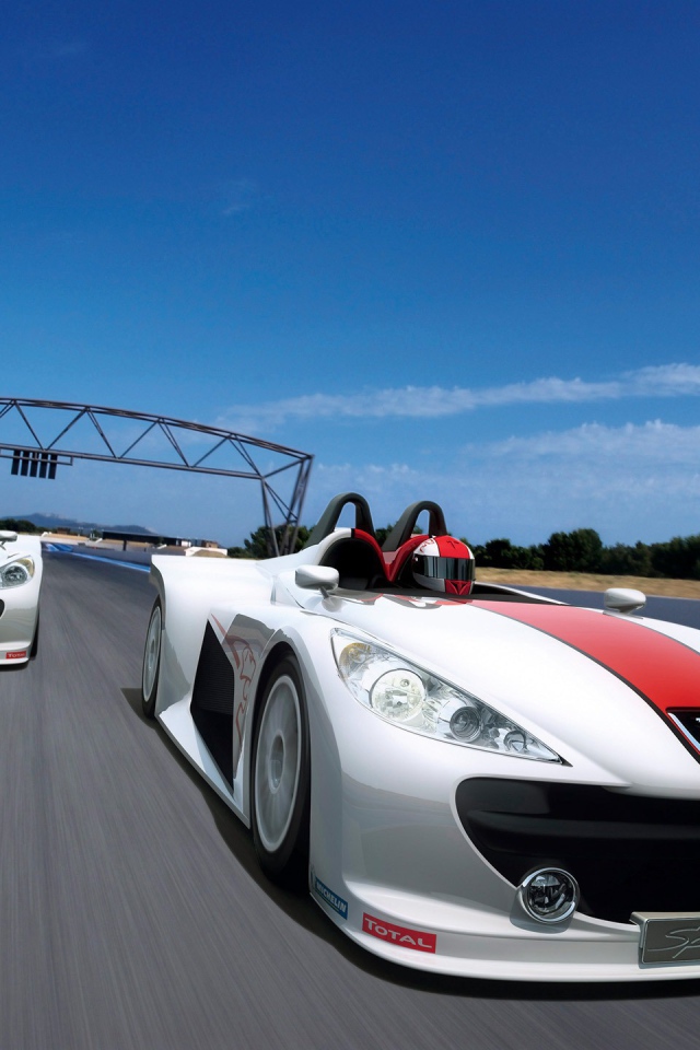 Гонки на автомобилях Пежо