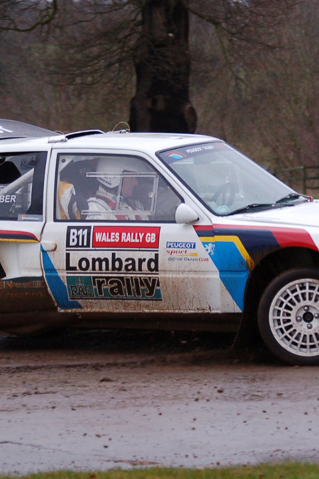 Peugeot на ралли