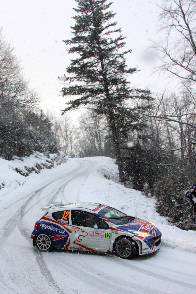 Пежо на зимних ралли