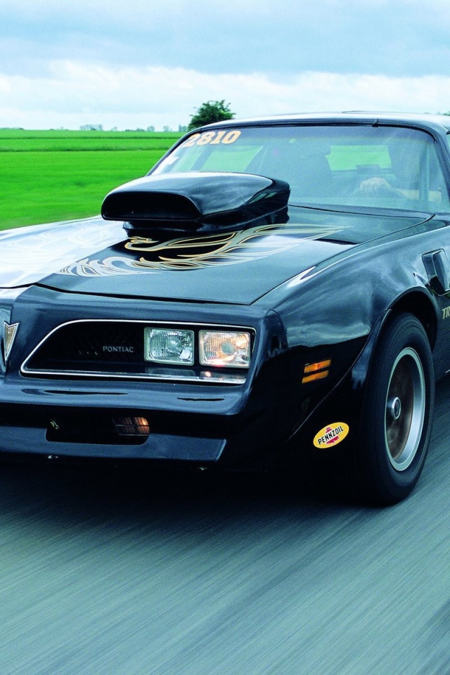 Pontiac на дороге