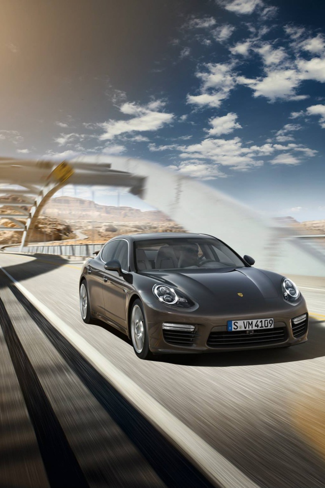2014 Porsche Panamera Turbo S на мосту