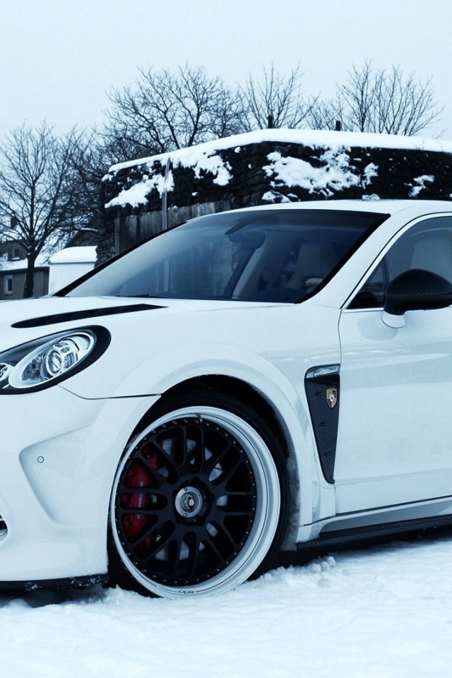 Порш Панамера на снегу