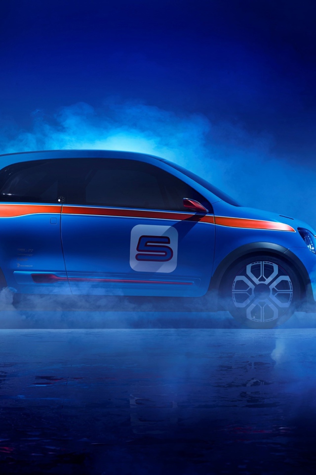 Двух дверный Renault