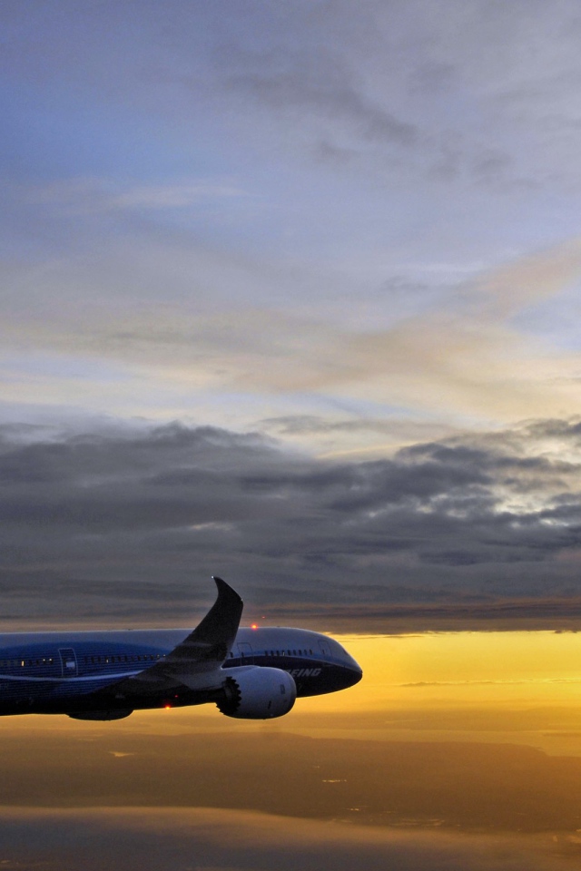 Boeing 787 Dreamliner