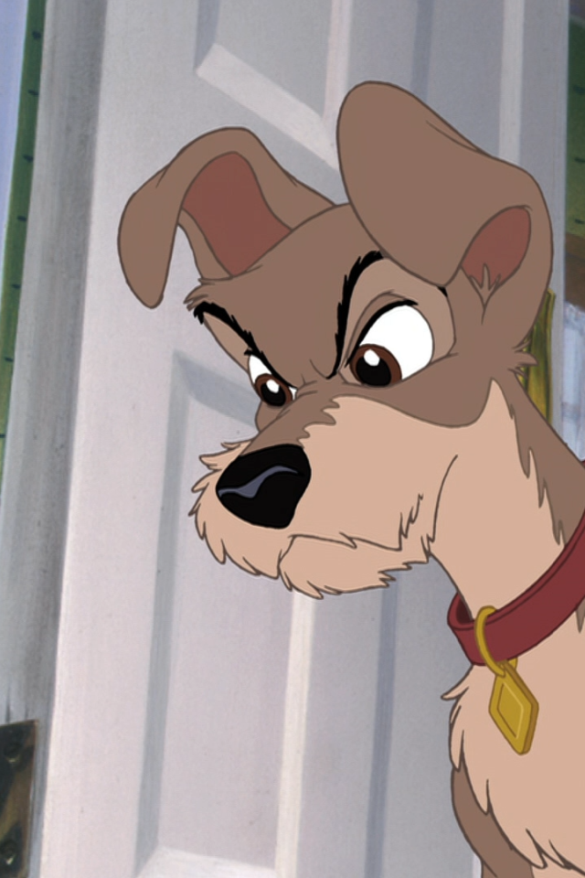 Приключения большого Джеффа