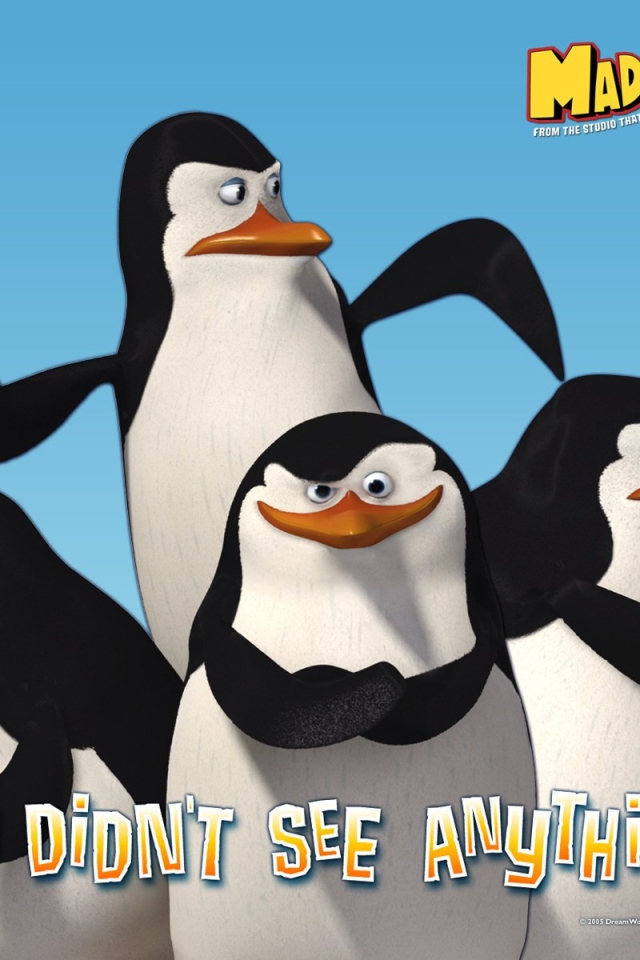 Пингвины из Мадагаскара