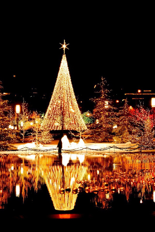 Красивая городская ёлка на рождество