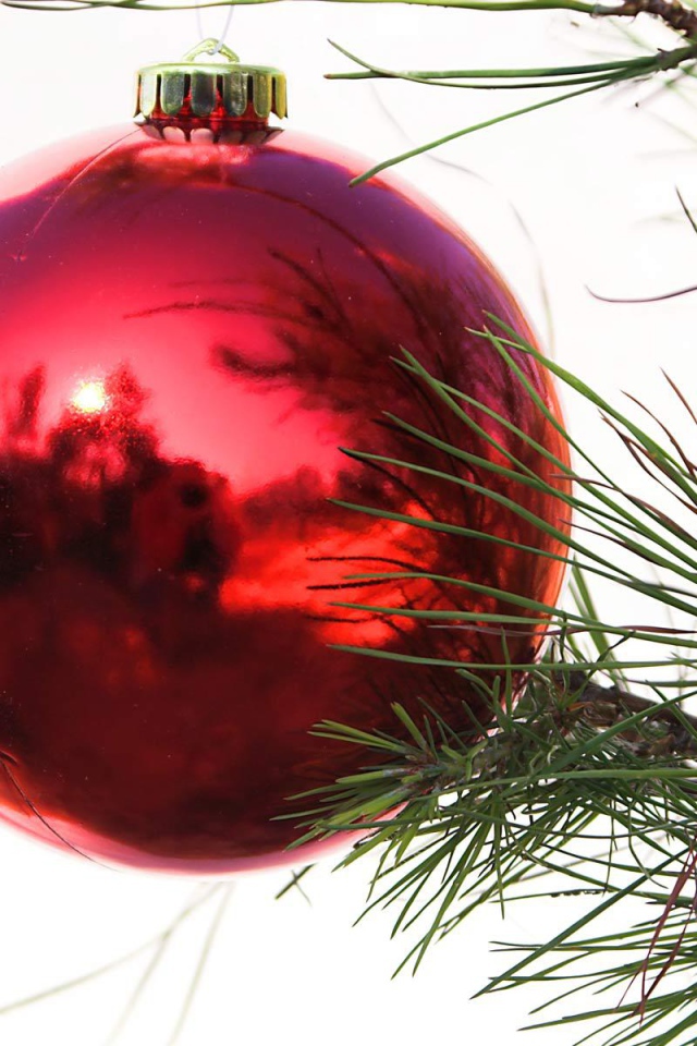 Красный шар на ёлке на рождество