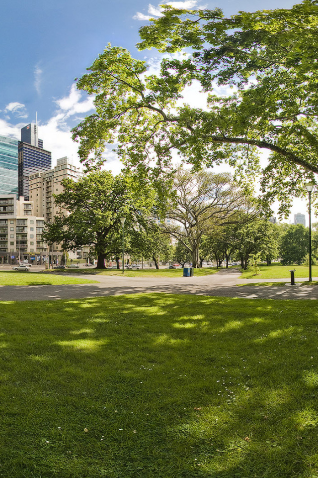 Городской парк летом