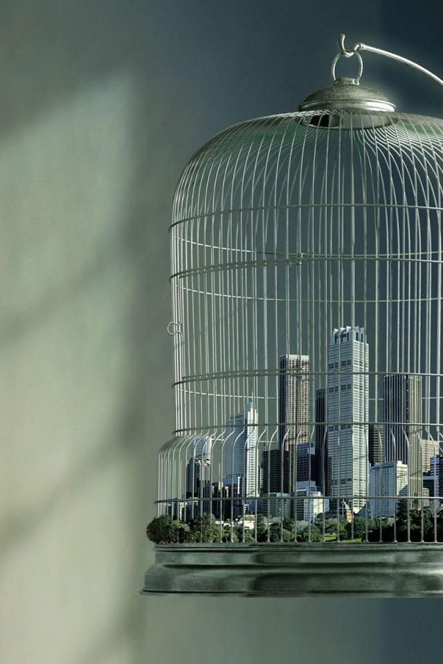 Город в клетке