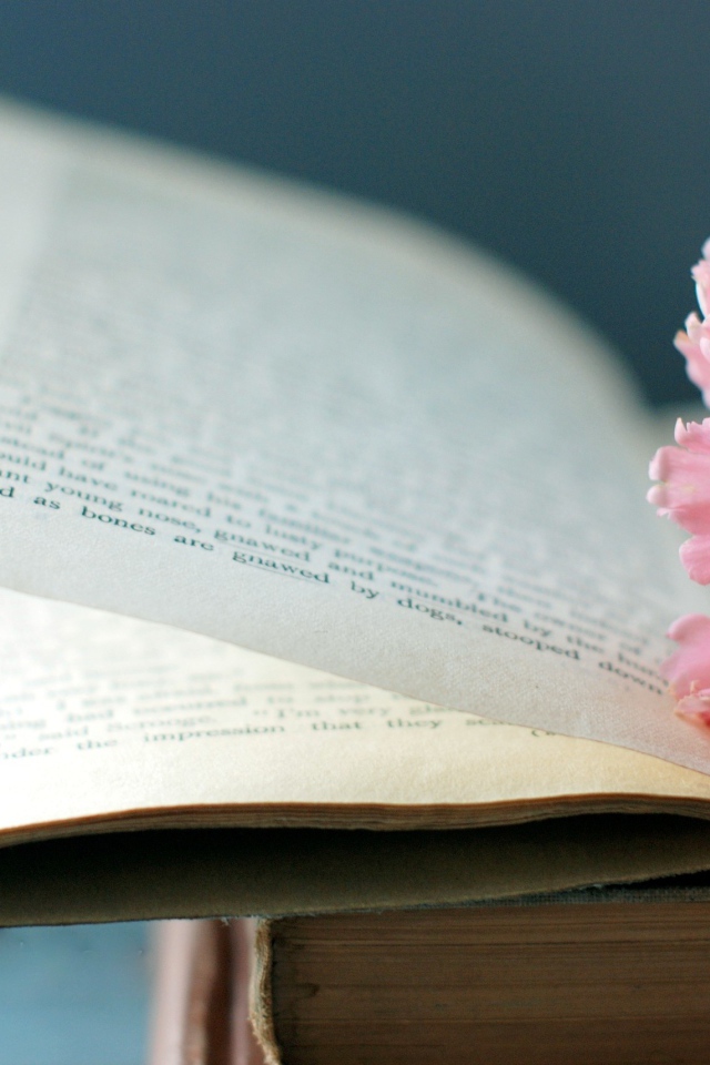 Цветок на книге