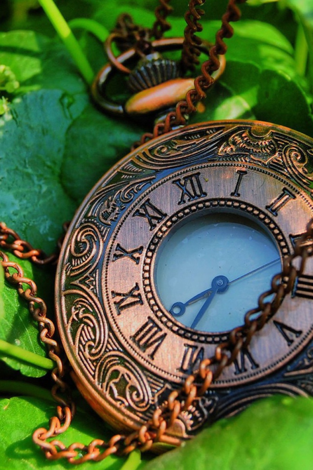 Карманные часы с цепочкой