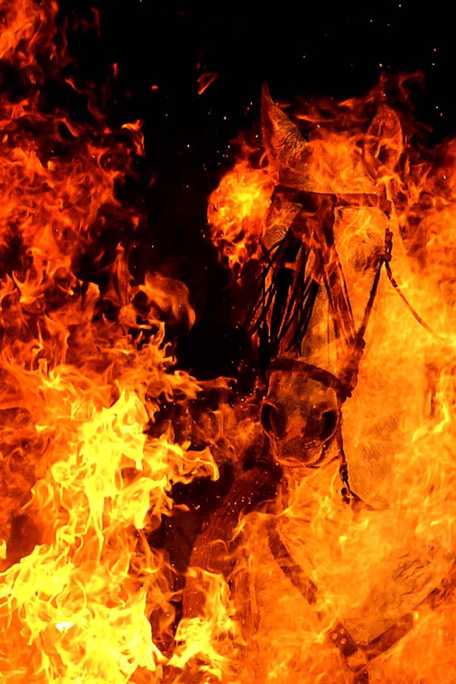 Год огненной лошади