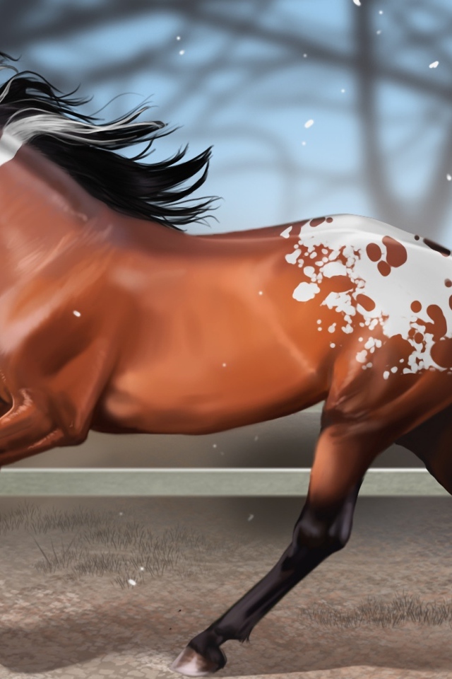 Мустанг лошадь