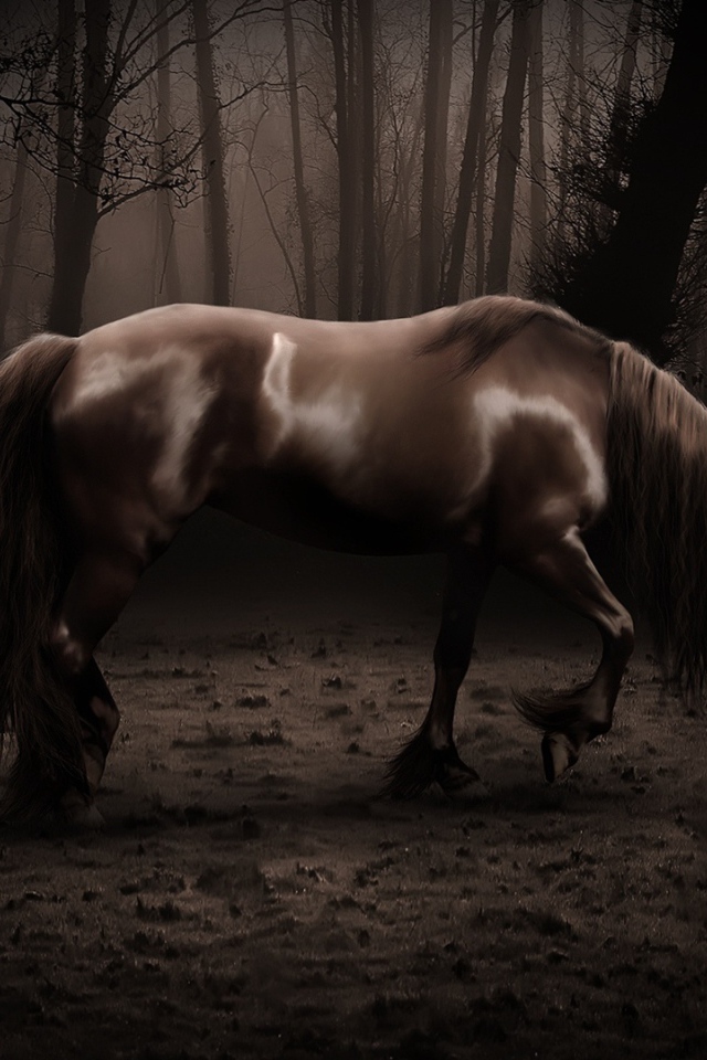 Старая лошадь