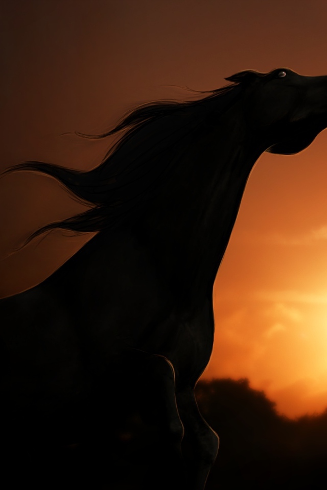 Силуэт лошади