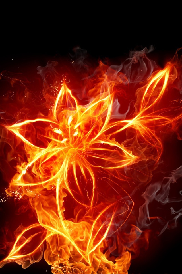 Фантазия Огненный цветок