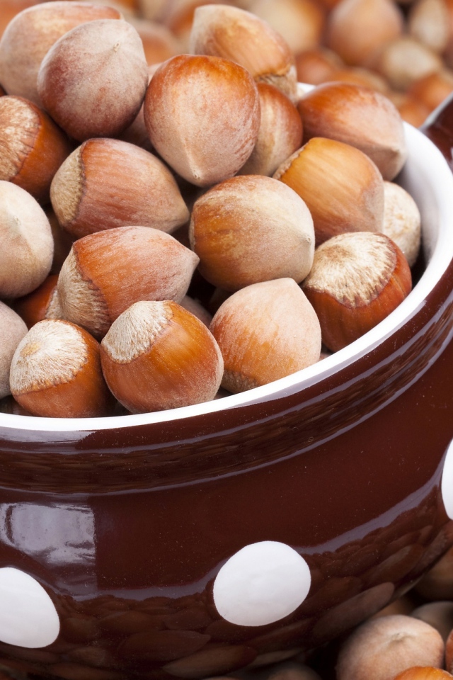 Лесные орешки