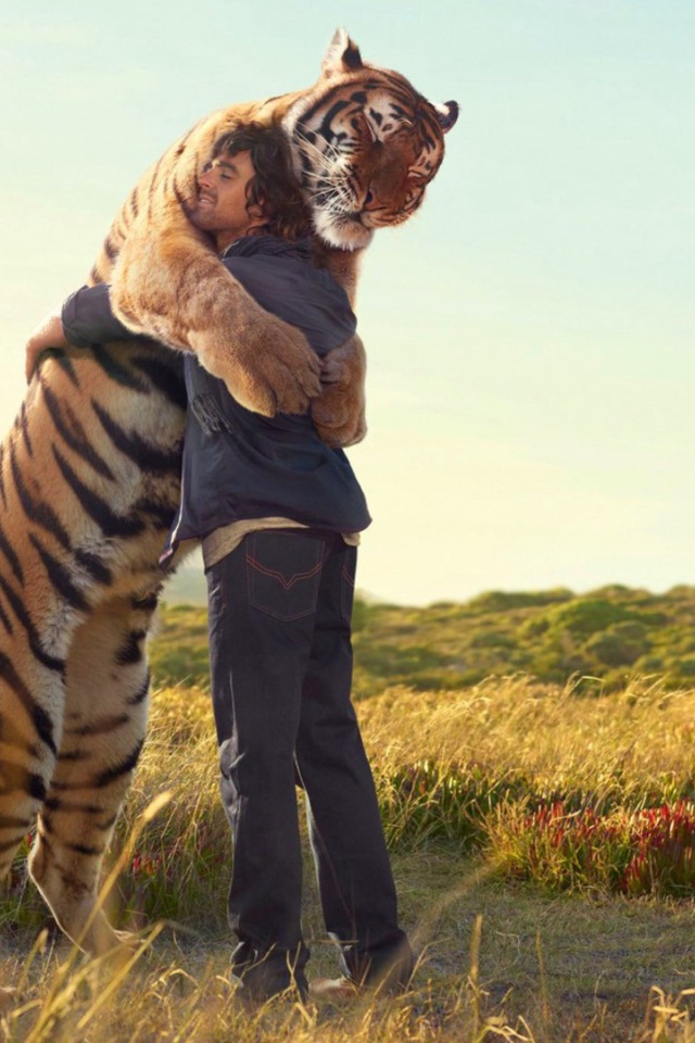 Друзья навеки