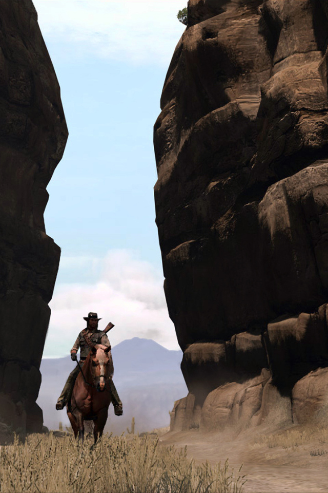 Всадник из видео игры