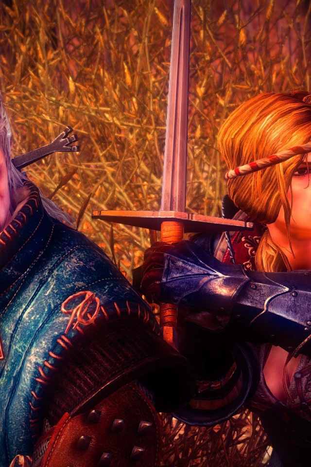 Видео игра Ведьмак 2