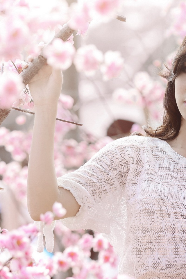 Весеннее цветение вишни