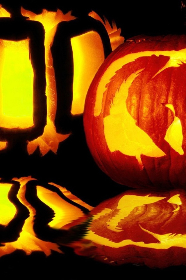 Хэллоуин испуганный кот