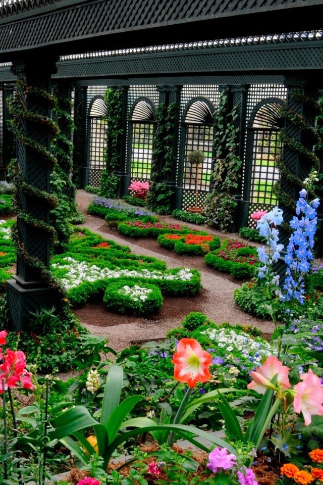 Зимний сад теплица