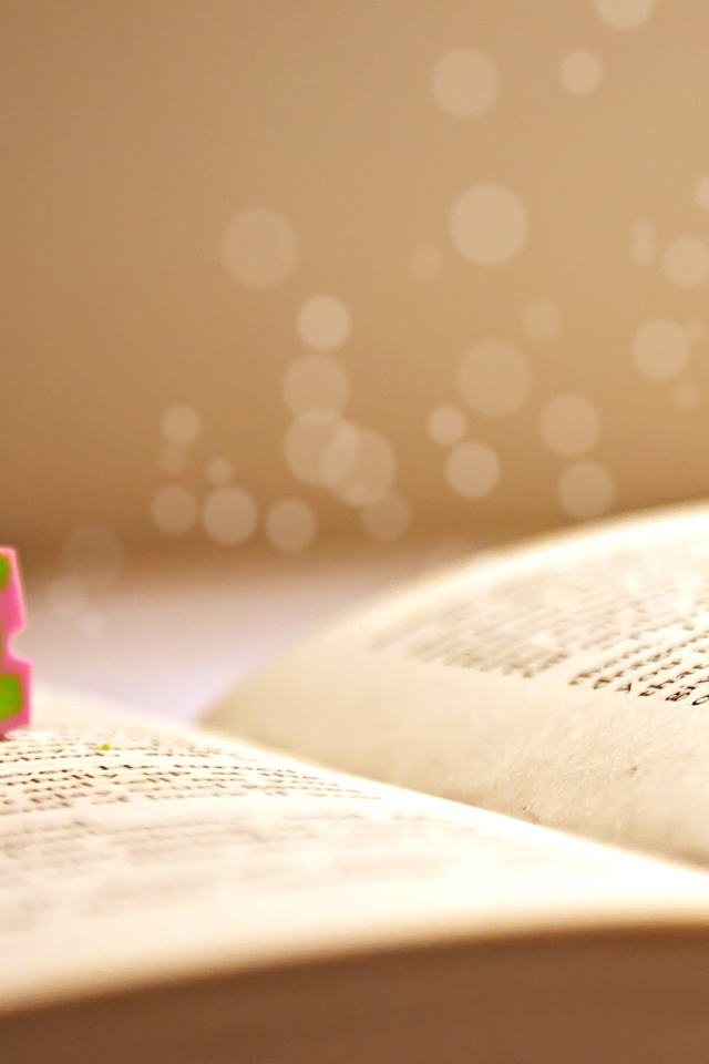 Книга и любовь