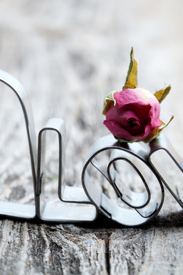 Цветок и любовь