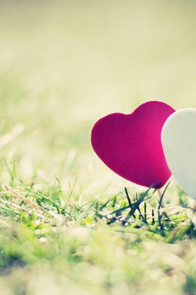 Два сердечка на траве