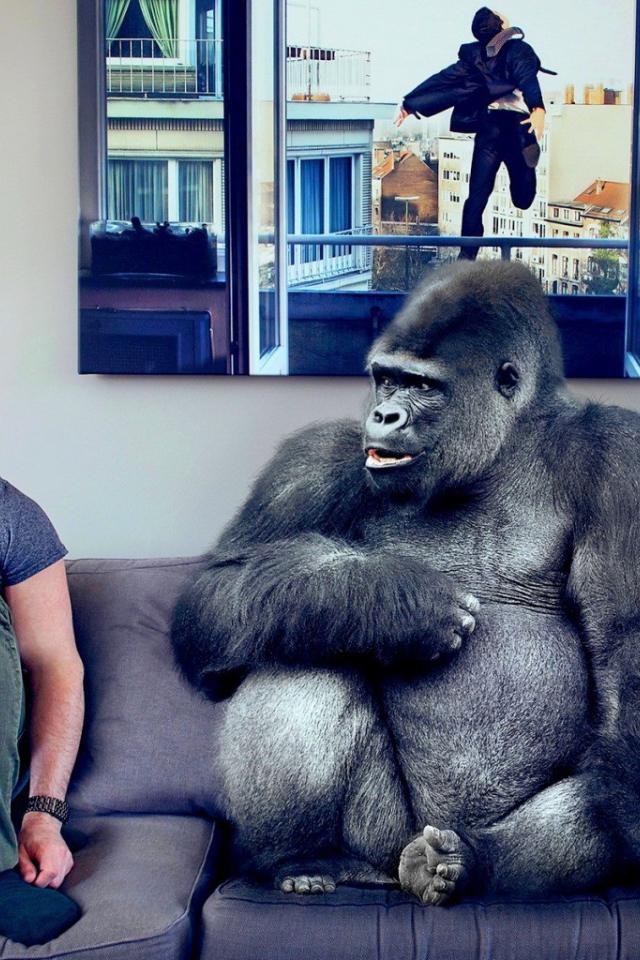 Давид Олкарни с обезьяной