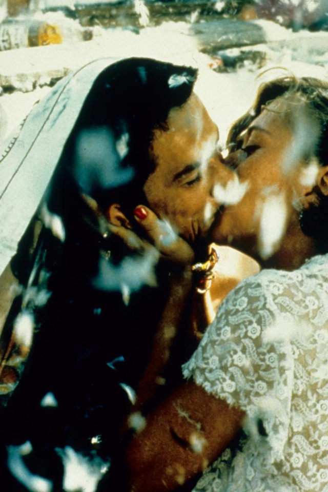 Чёрная кошка, белый кот