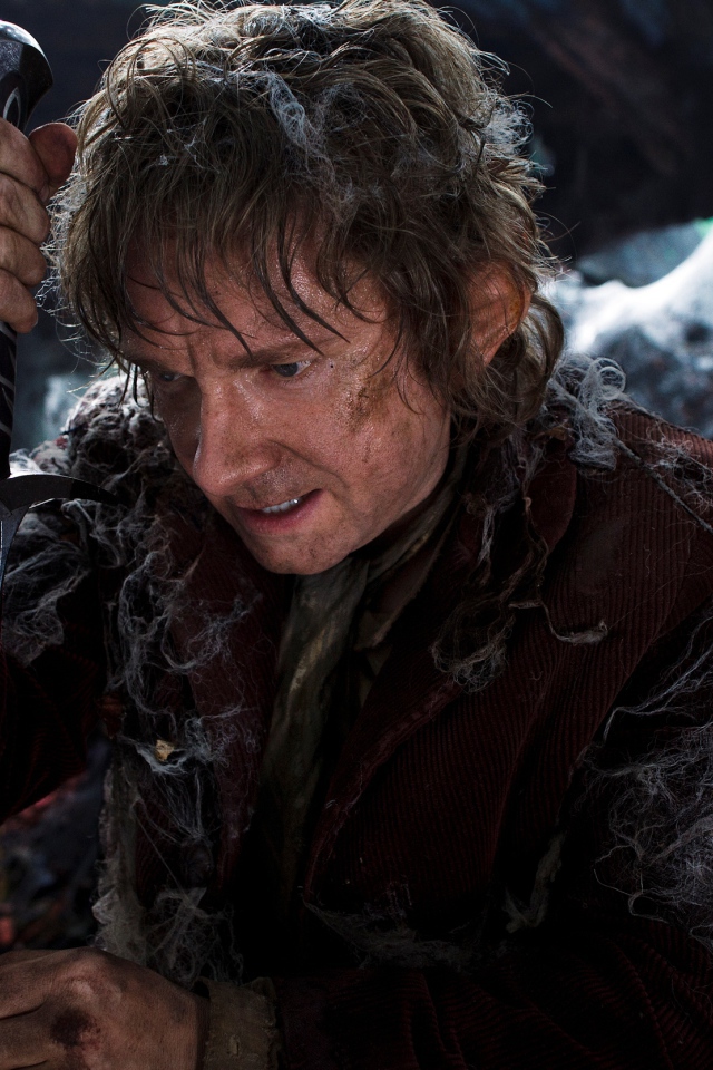 Хоббит: Пустошь Смауга Бильбо 