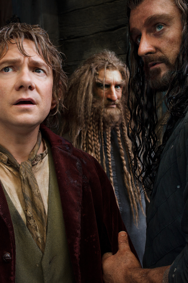 Хоббит: Пустошь Смауга Бильбо и Торин