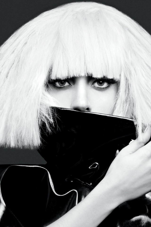 Причёска певицы Леди Гага