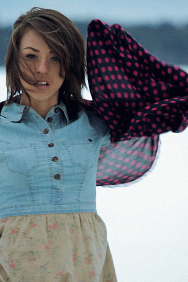 Iowa на фоне снега