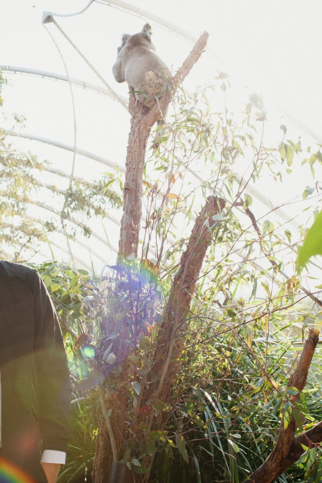 Фотосессия певца John Newman