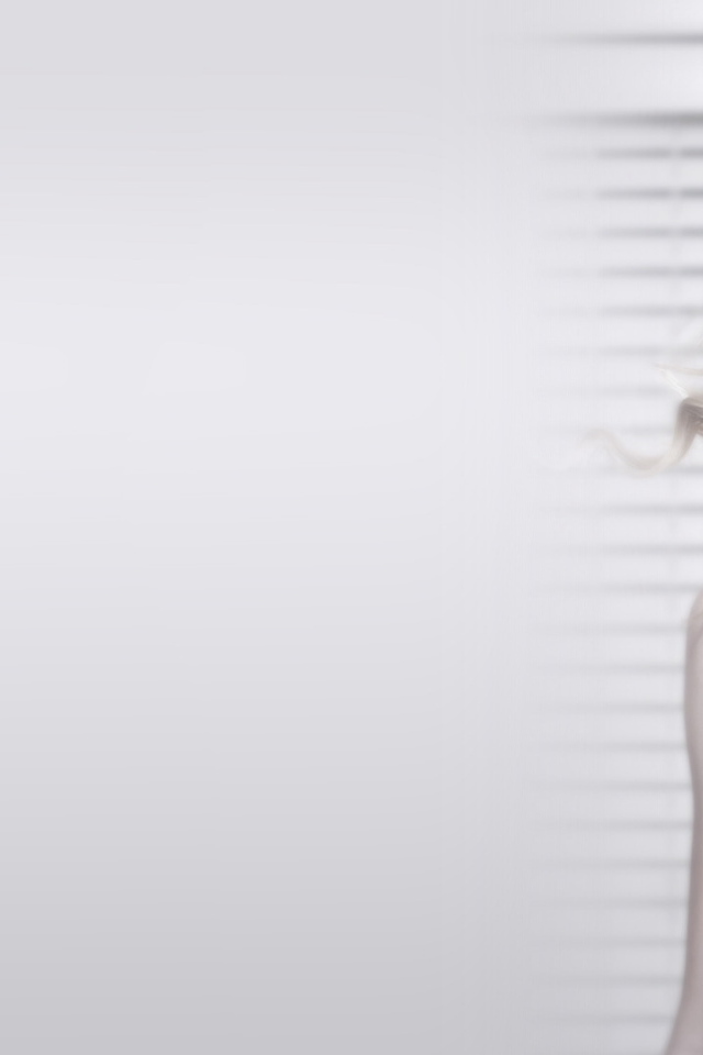 Taylor Swift Красота по-американски