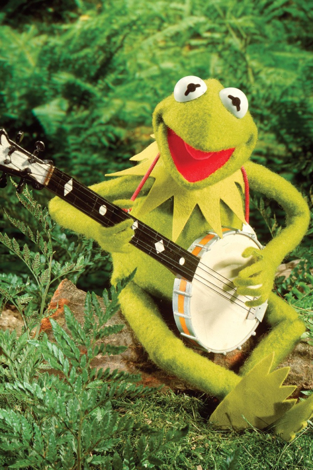 Лягушка с банджо