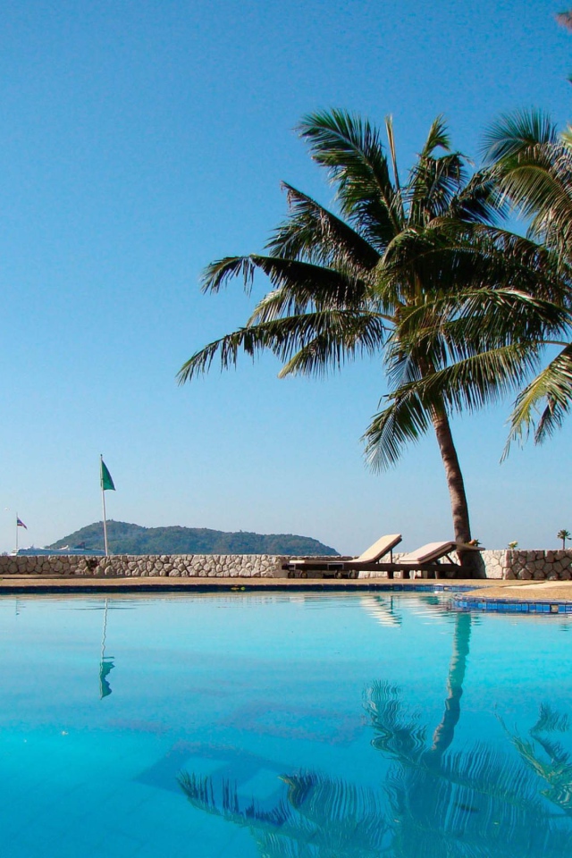 Бассейн и пальмы