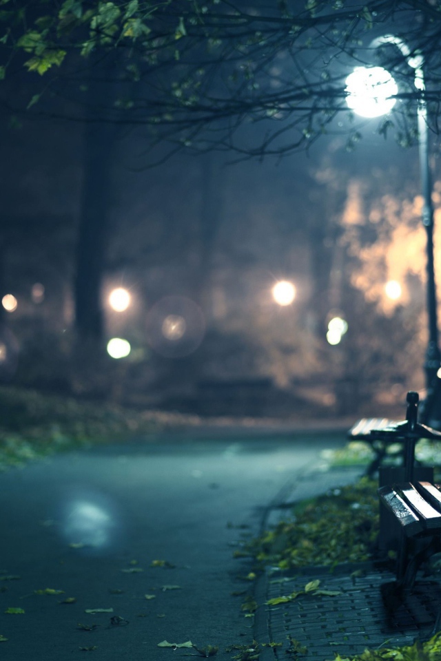 Скамейка в парке